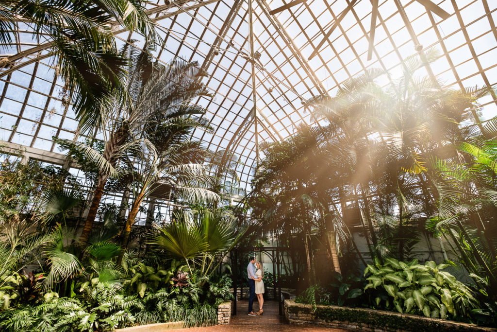 Sun beams coming though the windows of the John F. Wolfe Palm House, illuminating the newly engaged couple.