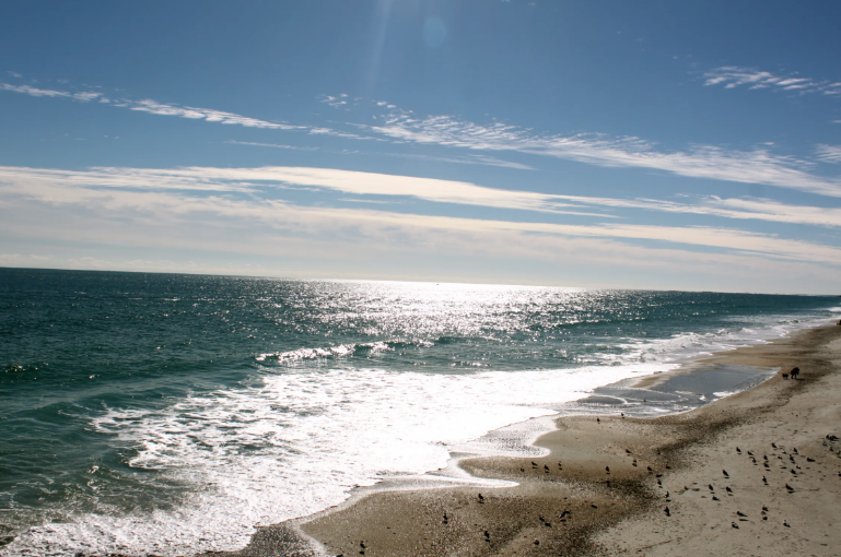 Wrightsville Beach with white sandy shore and blue green water. Sunlight is strong on the reflection of the water and tiny birds are on the sand.