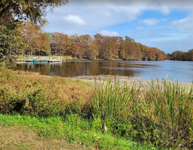 Photo of Greenfield Lake Park surrounded by greenery and pier.